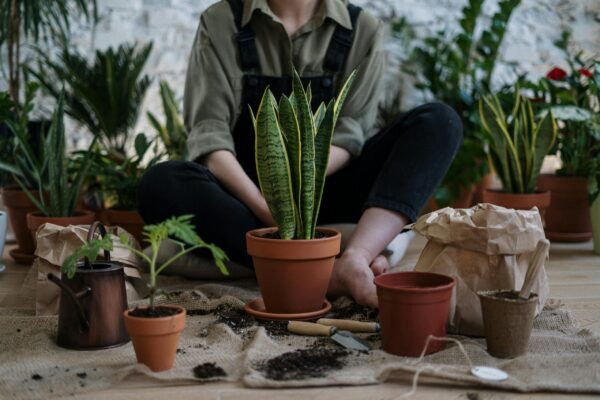 Garden & Lawn Care (1 Person) - Image 2