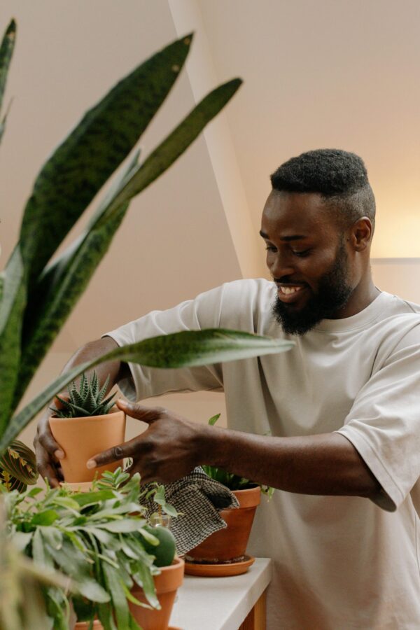 Garden & Lawn Care (1 Person) - Image 3
