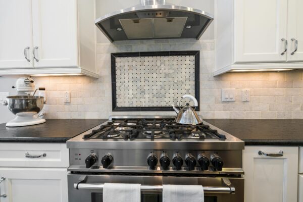 Appliance Health Check (Per-visit) - Image 2
