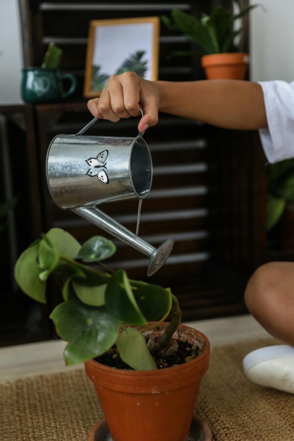 Garden & Lawn Care (1 Person) - Image 6
