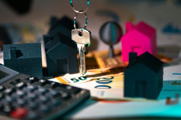 Super Tax / Luxury Tax Payment - Image 4