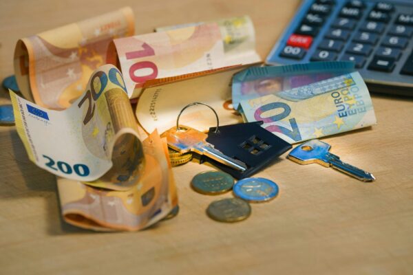 Super Tax / Luxury Tax Payment - Image 5