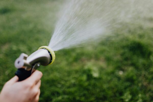 Garden & Lawn Care (1 Person) - Image 10