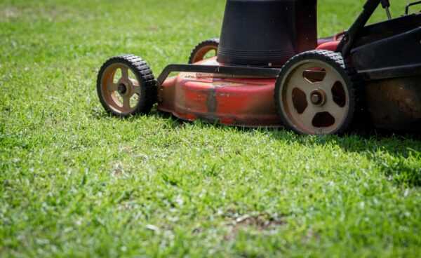 Garden & Lawn Care (1 Person) - Image 7