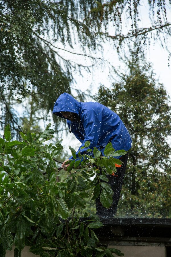 Garden & Lawn Care (1 Person) - Image 4